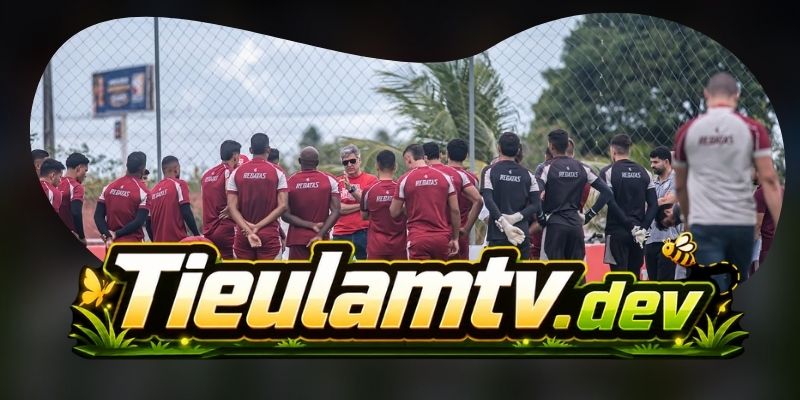 Nhận định kèo Avaí FC vs CRB AL 05h30 12/08