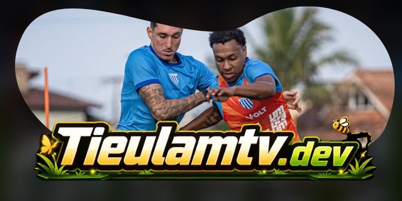 Soi Kèo Avaí FC Vs CRB AL 05h30 12/08